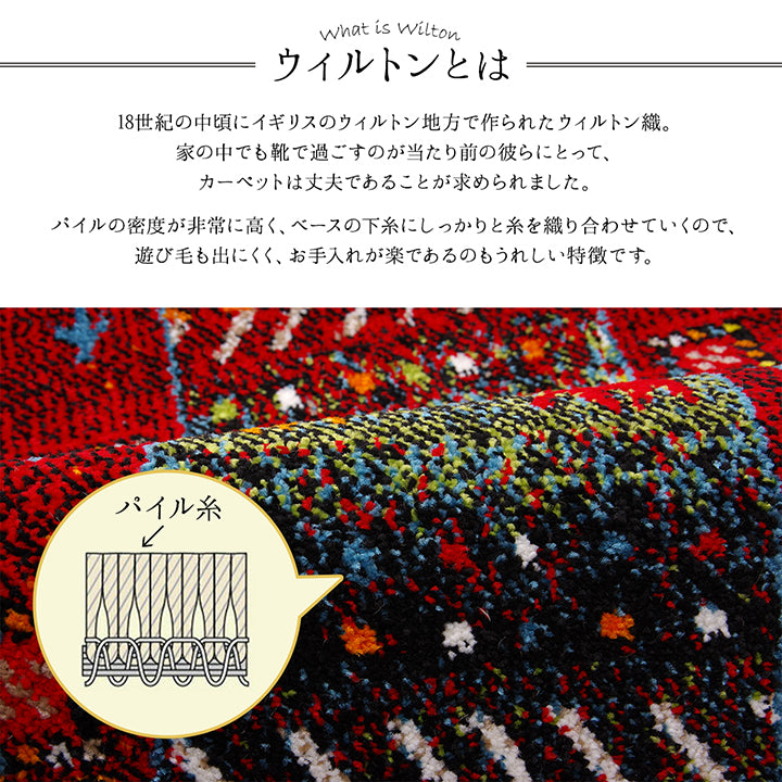 玄関マット イビサ IV 50X80 50×80cm ラグマット カーペット ラグ 絨毯 マット