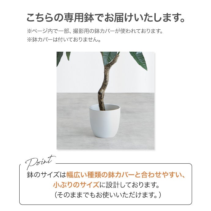フェイクグリーン・オブジェ 高さ130cm Nature 光触媒人工観葉植物