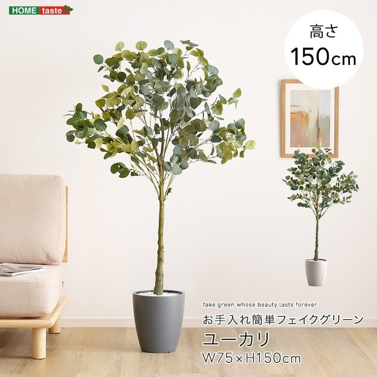 お手入れ簡単フェイクグリーン ユーカリ Mサイズ(150cm)