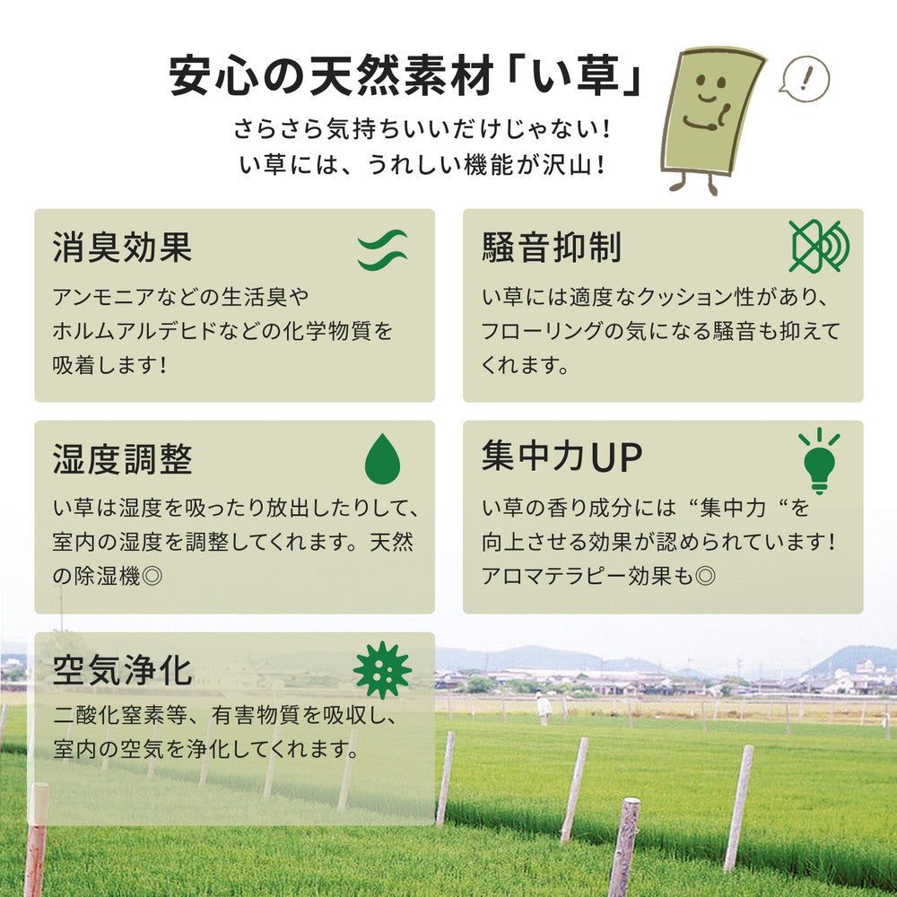 ラグ カーペット 江戸間 い草カーペット 柳川 やながわ 1帖 87×174 ラグマット 絨毯 消臭