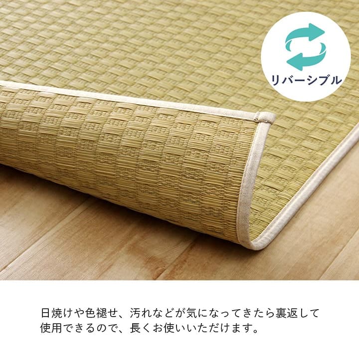 ラグ DXプレーン 普通版長方形 191X250 191×250cm ラグマット カーペット 絨毯