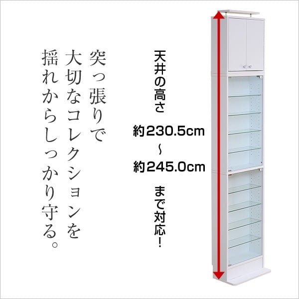コレクションラック 浅型ハイタイプ セット(本体+上置き) コレクションケース 壁面収納 収納棚