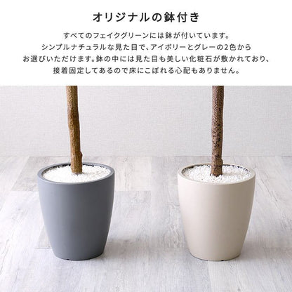 お手入れ簡単フェイクグリーン ストレリチア Lサイズ(180cm)