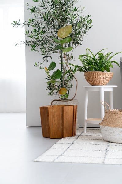 グリーン ウッドプランターS 幅38×奥行38×高さ30cm 日用品 完成品 組立不要 ブラウン