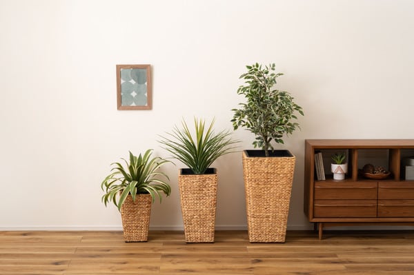 グリーン プランター角ハイタイプ 幅29×奥行29×高さ52.5cm 日用品 ハイタイプ 完成品
