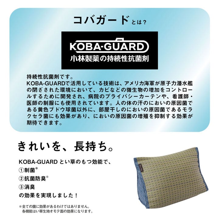 クッション クリア ゆったり BL 30X40 40×30×H20cm 日用品 抗菌