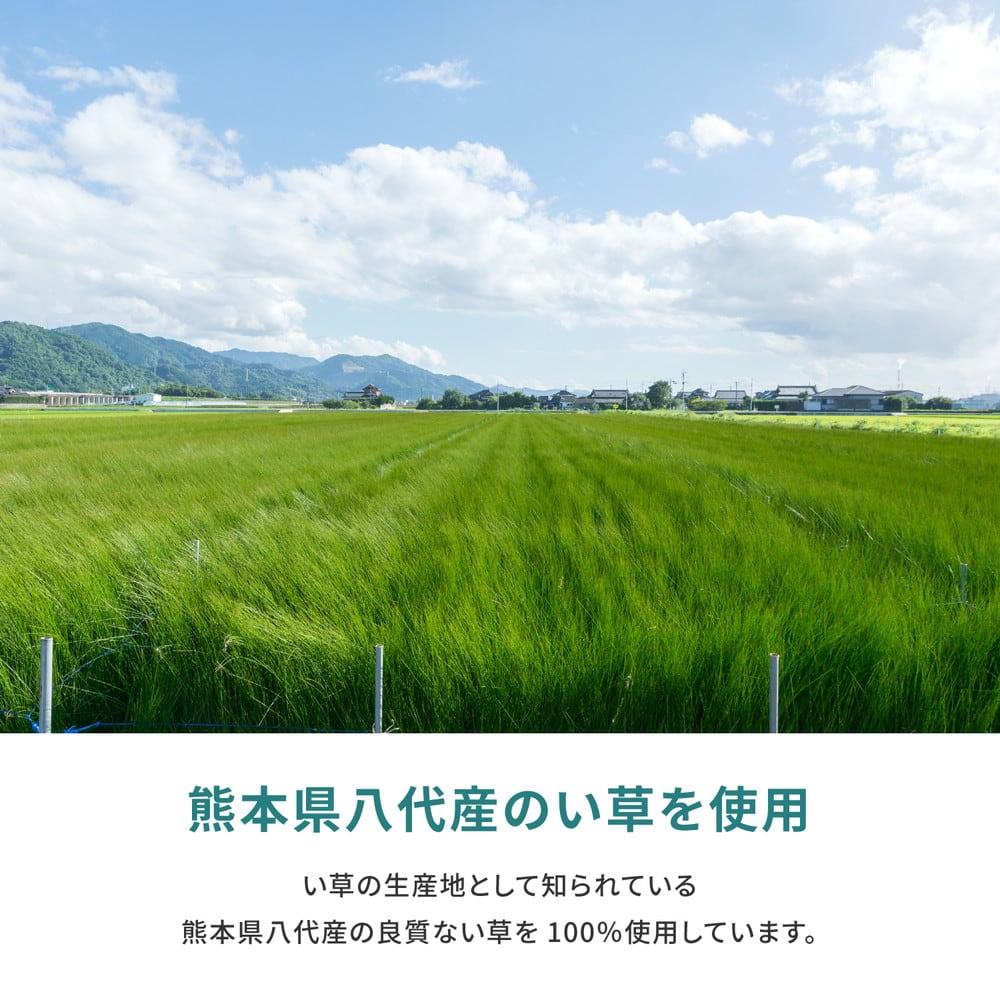 ラグ 江戸間 国産い草カーペット 天草 1帖 87×174 ラグマット 絨毯 消臭