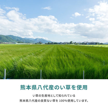 ラグ 江戸間 国産い草カーペット 天草 1帖 87×174 ラグマット 絨毯 消臭