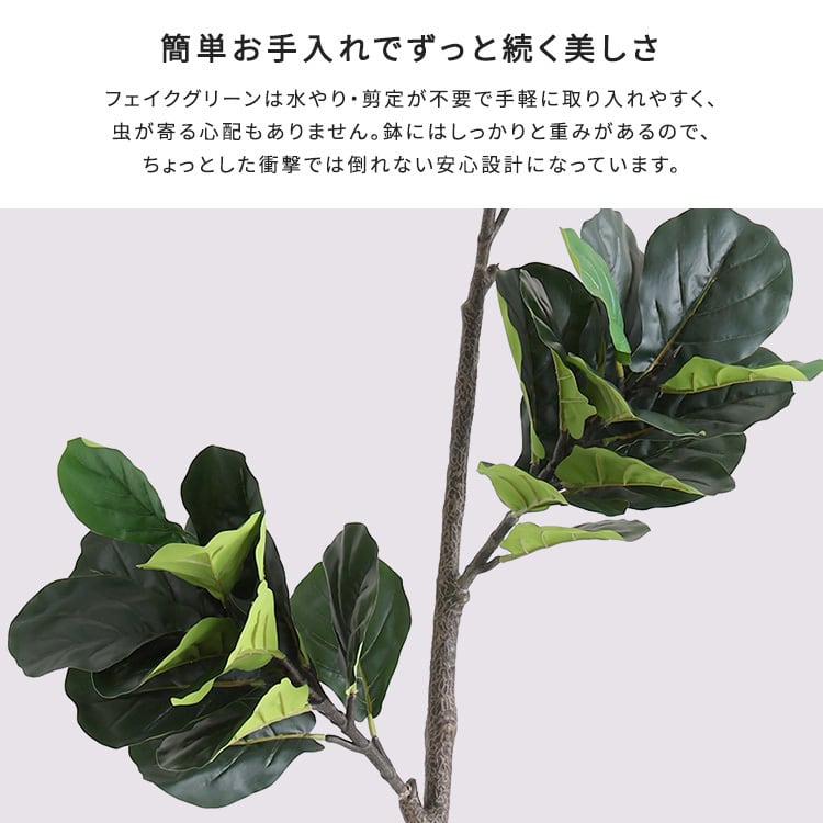 お手入れ簡単フェイクグリーン フィカス・リラータ Lサイズ(180cm) フェイクグリーン 観葉植物