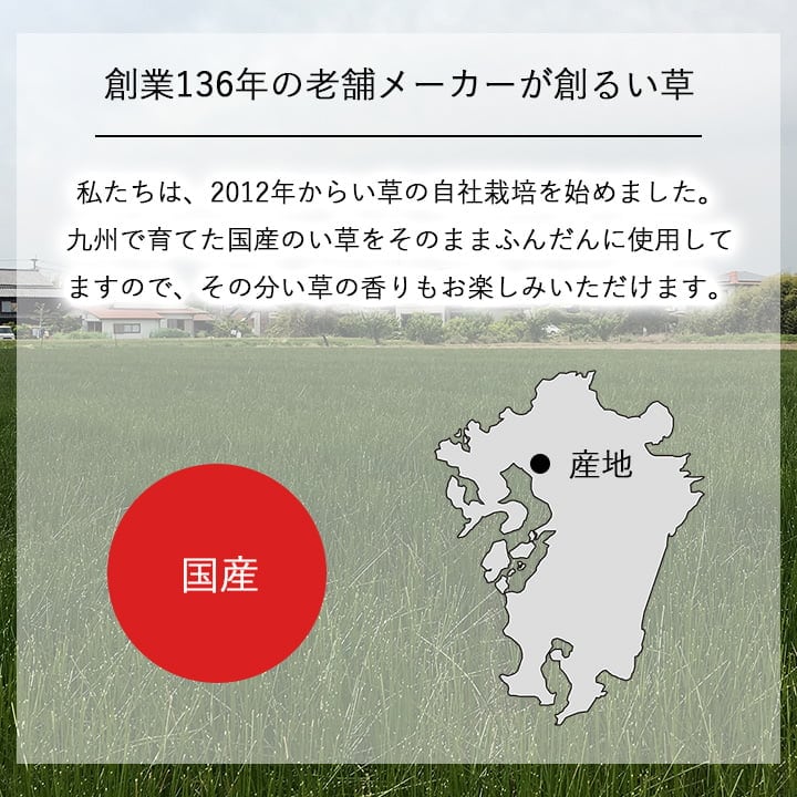 置物 畳のもと 10X95 95×10cm ラグマット カーペット ラグ 絨毯 消臭 日本製