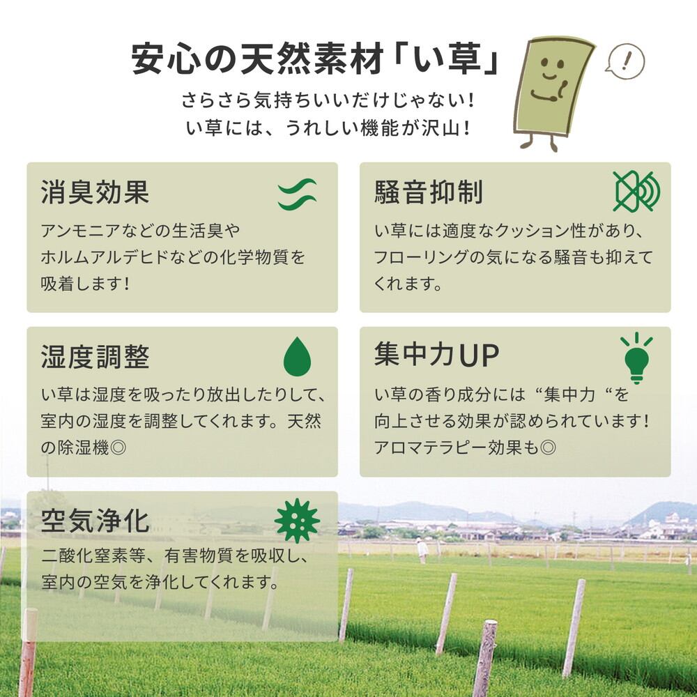 ラグ 江戸間 国産い草カーペット 天草 1帖 87×174 ラグマット 絨毯 消臭