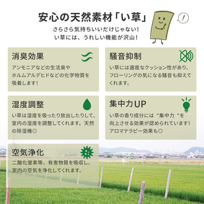ラグ 江戸間 国産い草カーペット 天草 1帖 87×174 ラグマット 絨毯 消臭