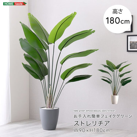 お手入れ簡単フェイクグリーン ストレリチア Lサイズ(180cm) フェイクグリーン 人工観葉植物