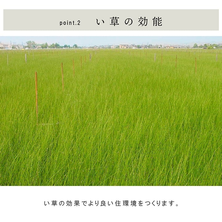 置き畳 ネイラル 半畳 70X70 70×70×1.5cm ラグマット カーペット ラグ 絨毯