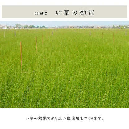 置き畳 ネイラル 半畳 70X70 70×70×1.5cm ラグマット カーペット ラグ 絨毯