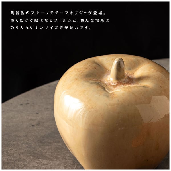 アート フルーツオブジェ 幅10×奥行10×高さ9cm 日用品 完成品 組立不要 ベージュ ブラック