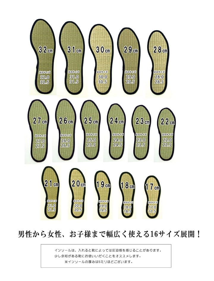 い草インソール色無 18cm NV 18 ラグマット カーペット ラグ 絨毯 消臭 インソール