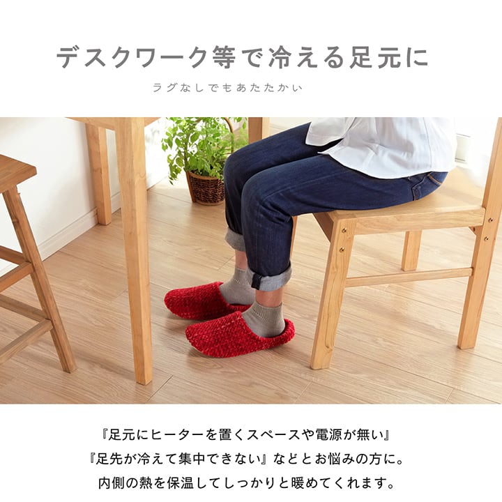 ルームシューズ ノート シューズ M BE 22-24cm 玄関収納 室内履き シューズラック