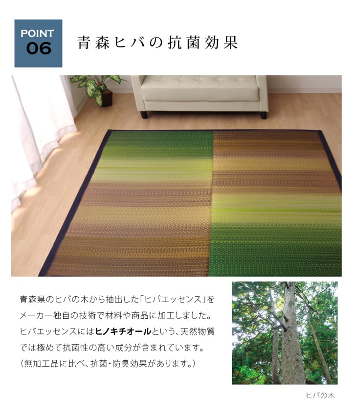 ラグ Fジョイ 楕円形 RE 190X210 190×210cm 楕円 ラグマット カーペット 絨毯