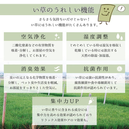 ラグ 国産い草ラグ 裏貼り エルモード 191×191cm ラグマット カーペット 絨毯 抗菌 消臭