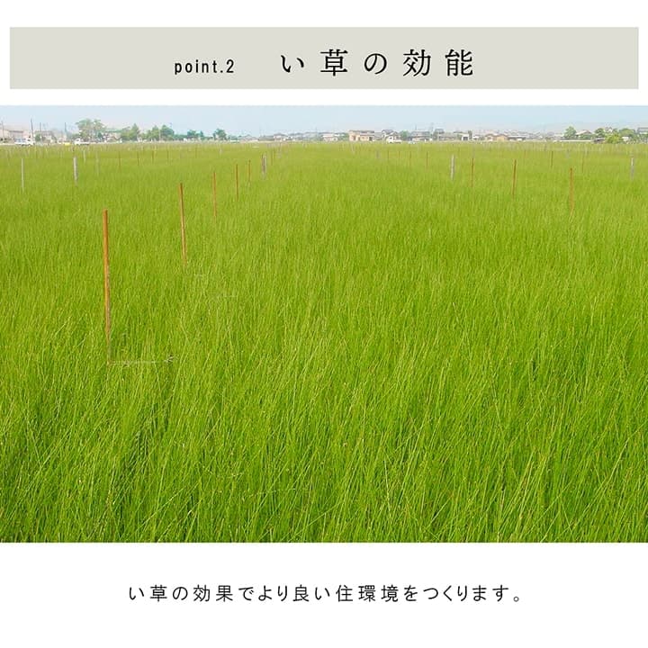 置き畳 ネイラル 半畳 70X70 70×70×3cm ラグマット カーペット ラグ 絨毯