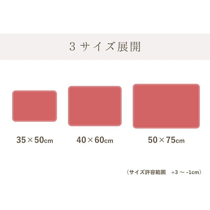 バスマット 足元 BL 35X50 35×50cm ラグマット カーペット ラグ 絨毯 マット