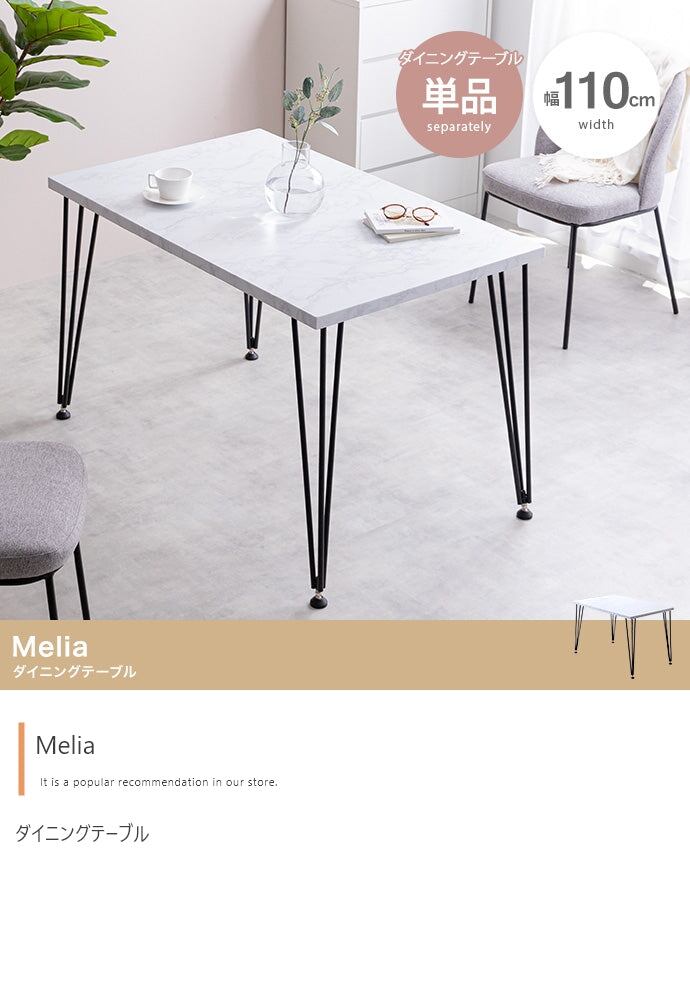 ダイニングセット 幅110cm Melia ダイニングテーブル ダイニング家具 スチール