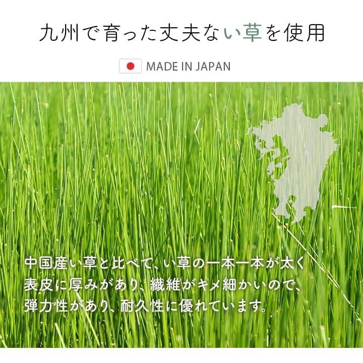 玄関マット Fピオス BE 60X90 60×90cm ラグマット カーペット ラグ 絨毯 マット