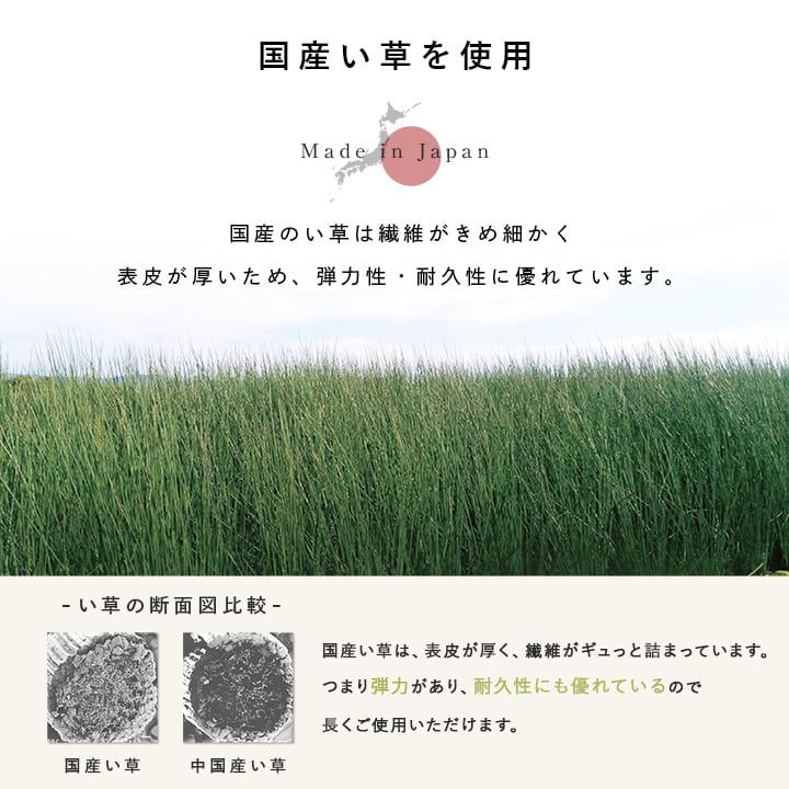 置き畳 ハイハイ畳AZ 半畳 70X70 70×70cm ラグマット カーペット ラグ 絨毯 日本製