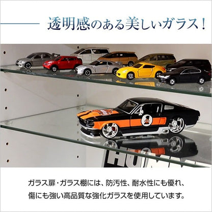 コレクションラック 深型ハイタイプ セット(本体+上置き) コレクションケース 壁面収納 収納棚