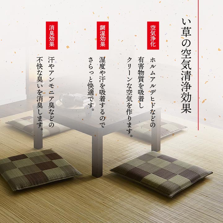 ブロック 座布団 5P BR 55X55 55×55cm 日用品 消臭 日本製 布団