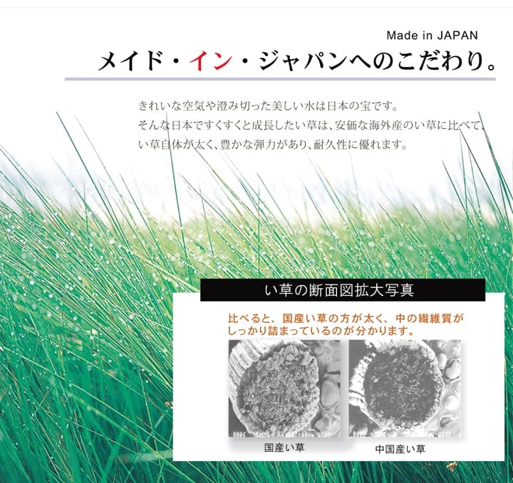 ラグ DXオーディン 普通版長方形 BR 191X250 191×250cm ラグマット カーペット