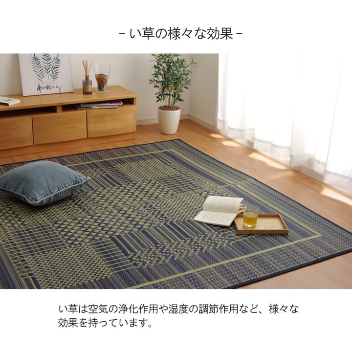 ラグ NSグラン 大判長方形 BR 191X300 191×300cm ラグマット カーペット 絨毯