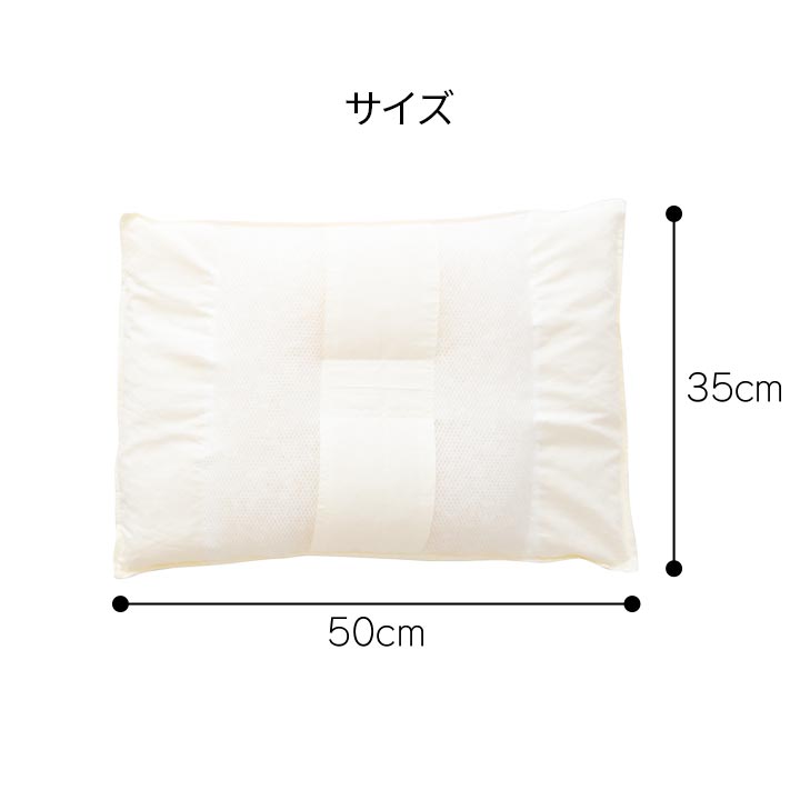 イリス洗AZ 平枕 セット BL 35X50 35×50cm 日用品 枕 寝具 洗えて・清潔編
