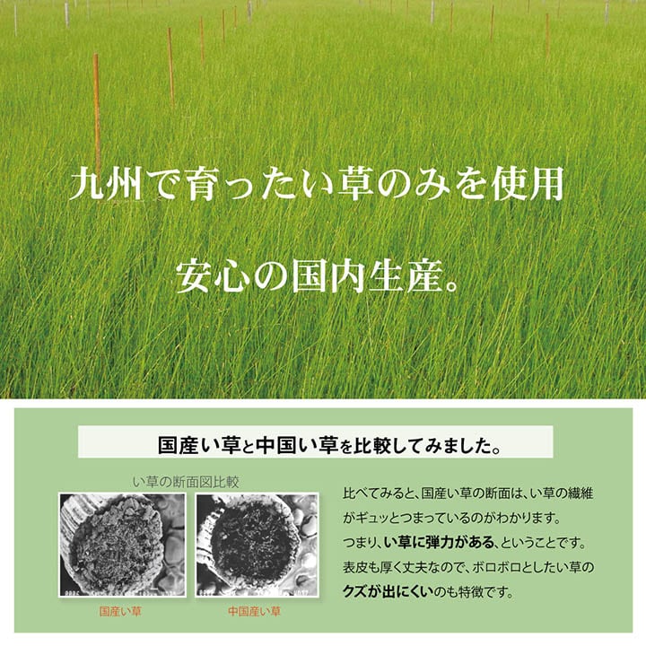 ベビー敷パッド Dスター ベビーシーツ BL 70X120 70×120cm 日用品 抗菌 消臭
