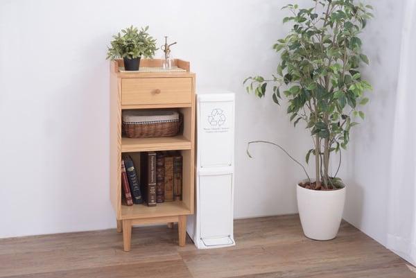 ダストボックス2D 幅21×奥行37×高さ80cm 日用品