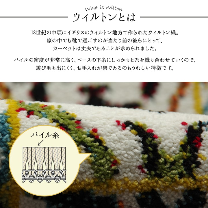 玄関マット ダンテ 50X80 50×80cm ラグマット カーペット ラグ 絨毯 マット