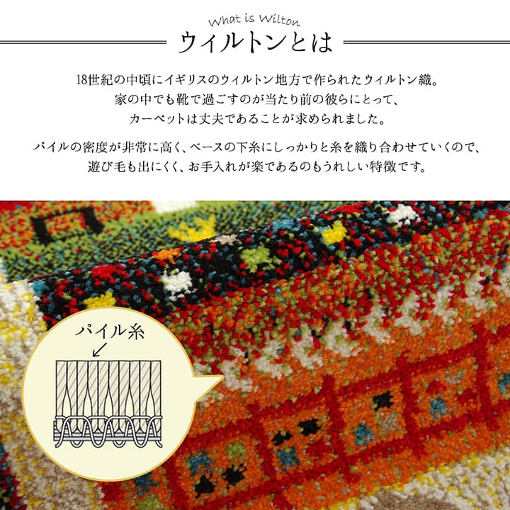 玄関マット プラテ 70X120 70×120cm ラグマット カーペット ラグ 絨毯 マット