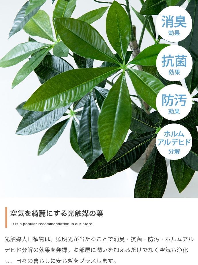 フェイクグリーン・オブジェ フェイクグリーン 高さ90cm Nature 光触媒人工観葉植物 パキラ