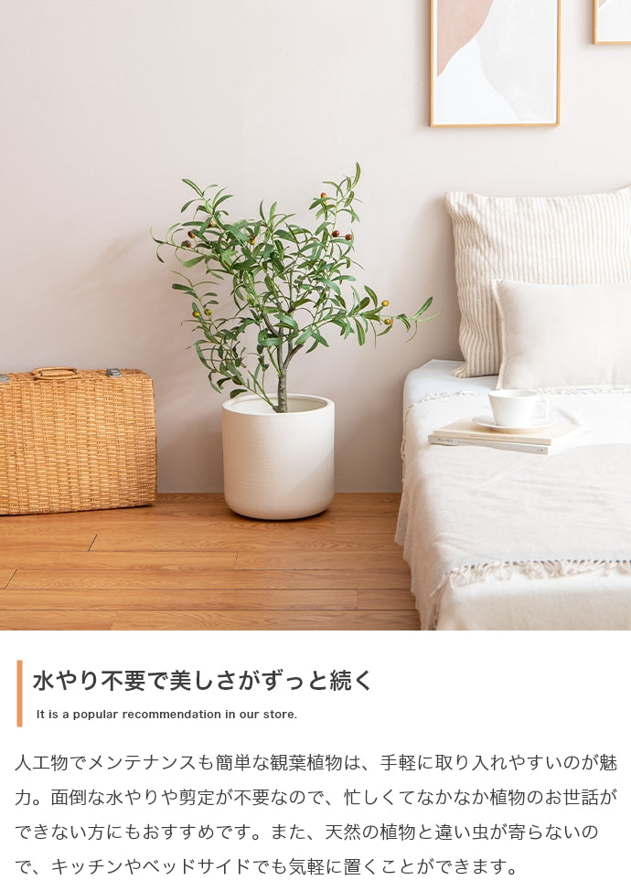 フェイクグリーン・オブジェ フェイクグリーン 高さ90cm Nature 光触媒人工観葉植物 パキラ