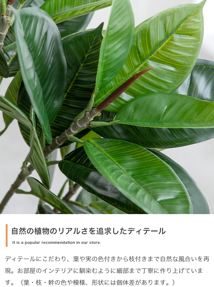 フェイクグリーン・オブジェ フェイクグリーン 高さ90cm Nature 光触媒人工観葉植物 パキラ