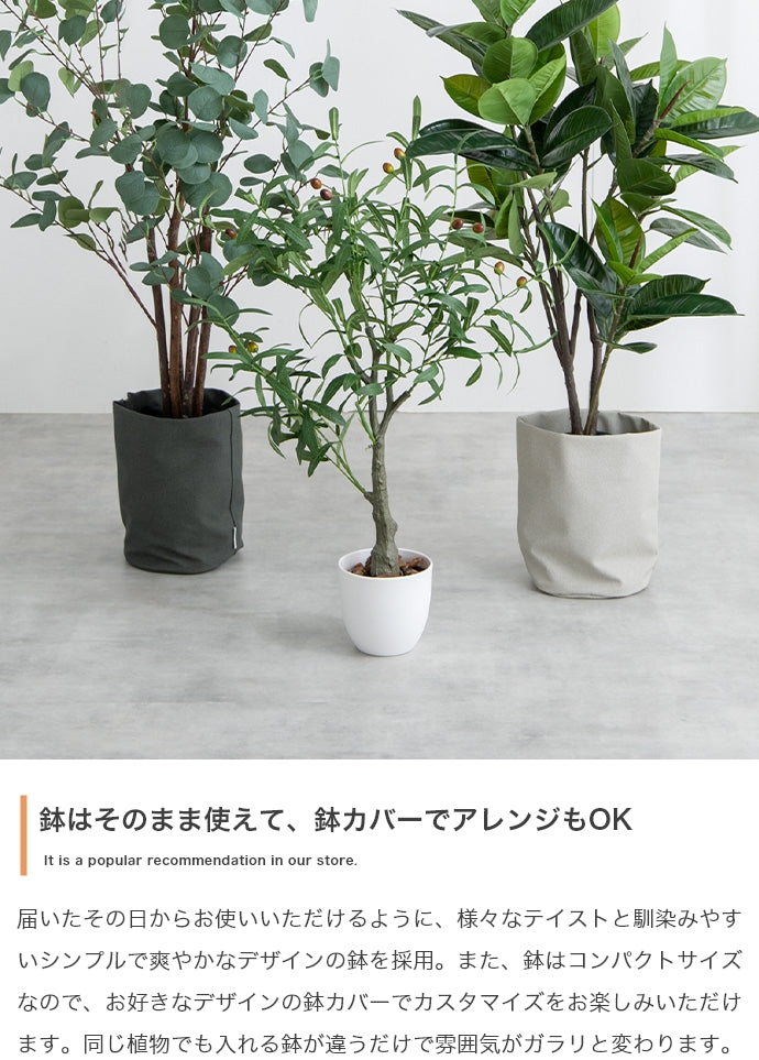 フェイクグリーン・オブジェ フェイクグリーン 高さ90cm Nature 光触媒人工観葉植物 パキラ