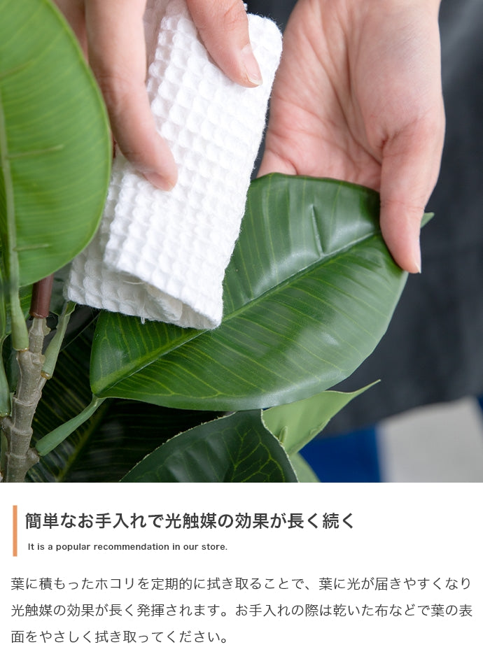 フェイクグリーン・オブジェ フェイクグリーン 高さ90cm Nature 光触媒人工観葉植物 パキラ