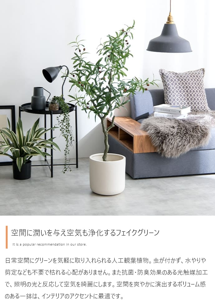 フェイクグリーン・オブジェ フェイクグリーン 高さ85cm Nature 光触媒人工観葉植物