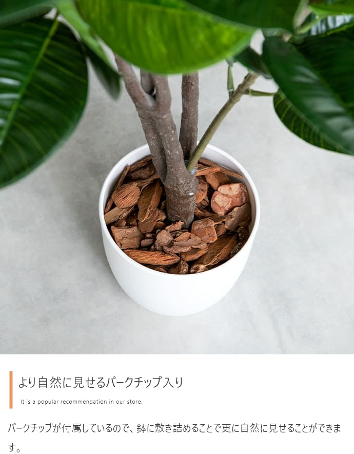 フェイクグリーン・オブジェ フェイクグリーン 高さ85cm Nature 光触媒人工観葉植物