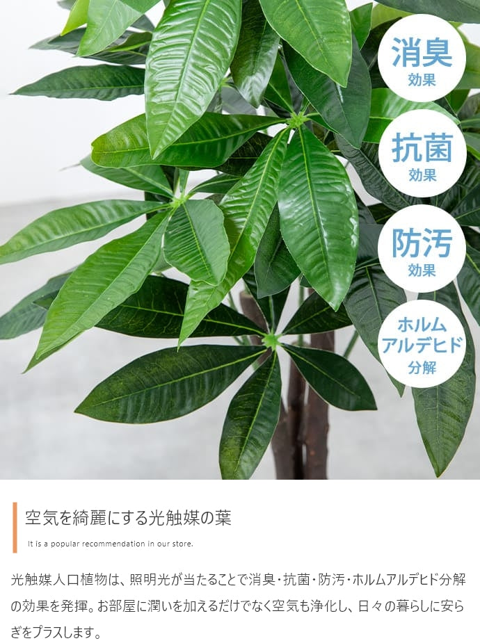 フェイクグリーン・オブジェ フェイクグリーン 高さ125cm Nature 光触媒人工観葉植物