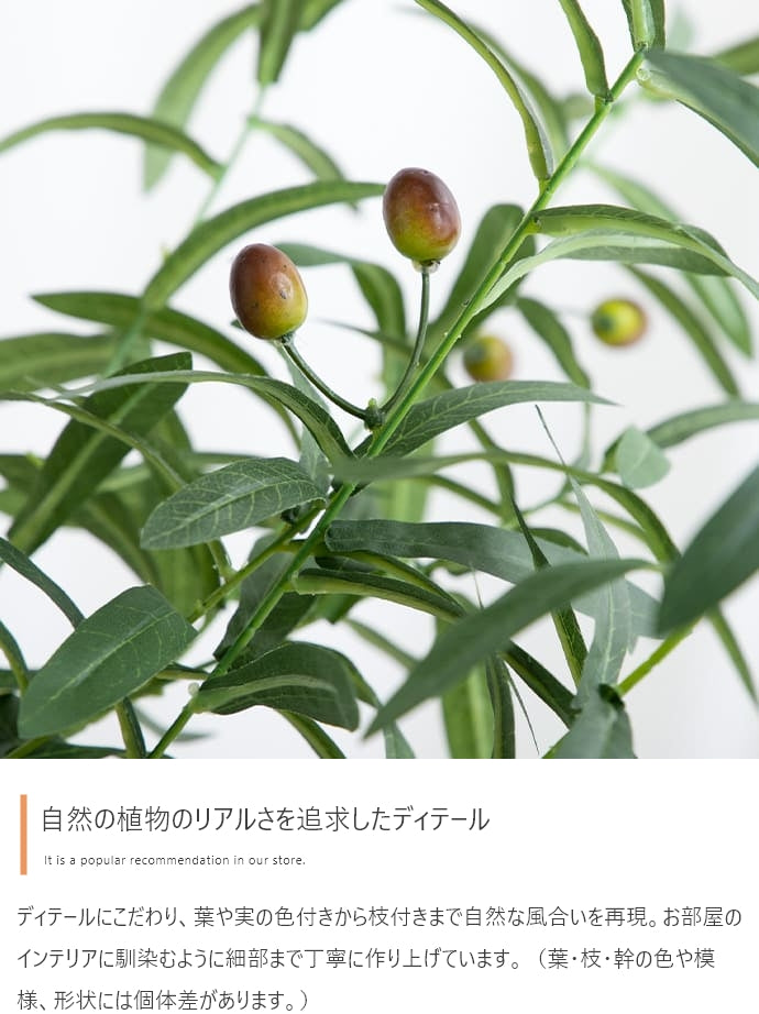 フェイクグリーン・オブジェ フェイクグリーン 高さ125cm Nature 光触媒人工観葉植物