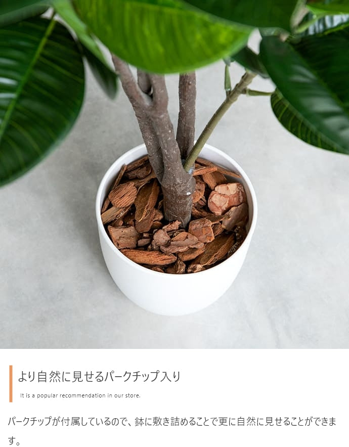 フェイクグリーン・オブジェ フェイクグリーン 高さ125cm Nature 光触媒人工観葉植物
