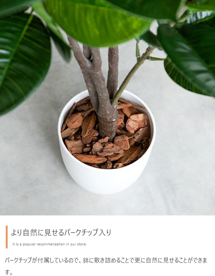 フェイクグリーン・オブジェ フェイクグリーン 高さ95cm Nature 光触媒人工観葉植物