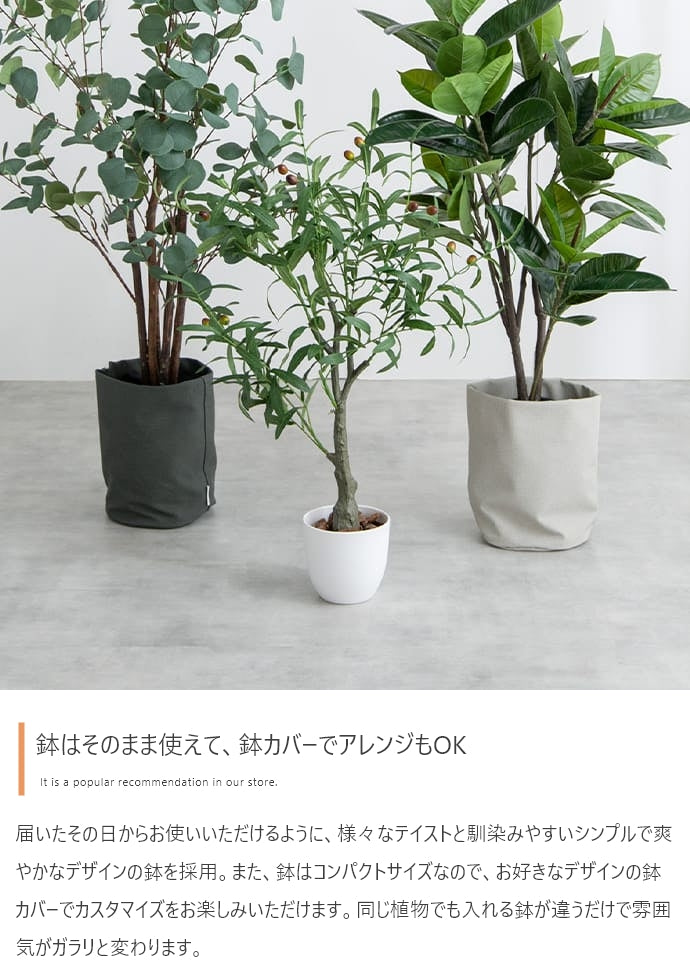 フェイクグリーン・オブジェ フェイクグリーン 高さ95cm Nature 光触媒人工観葉植物